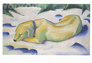 Liegender Hund im Schnee